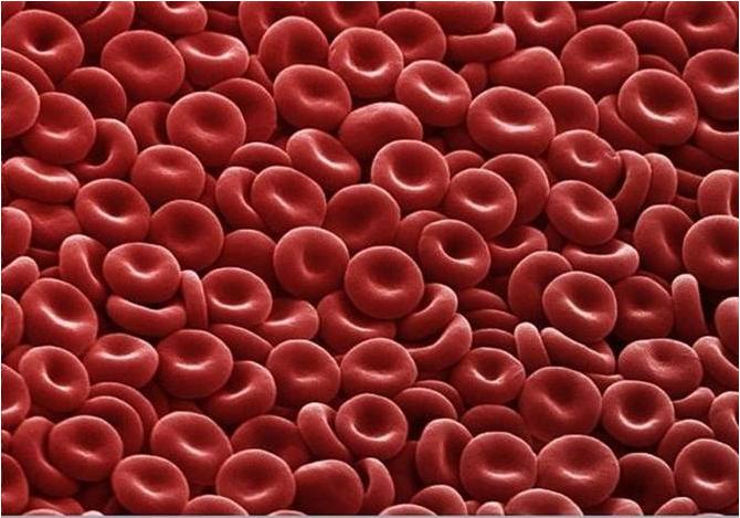 blood cancer types