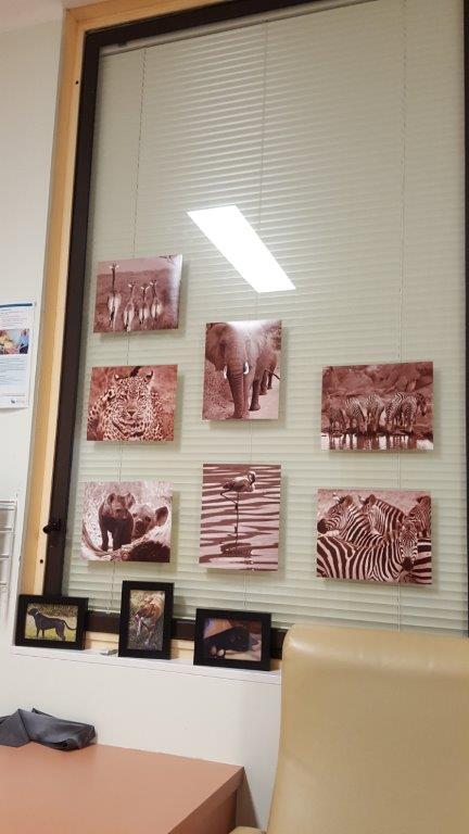 Lyndell Wills' photos on her hospital wall