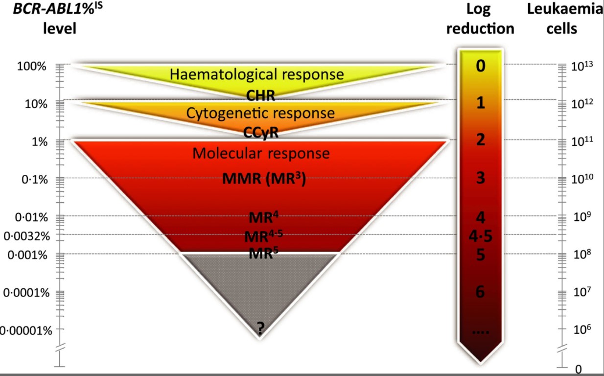 Key levels of molecular response on the International Scale 