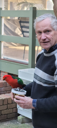 David Boyle with a king parrot