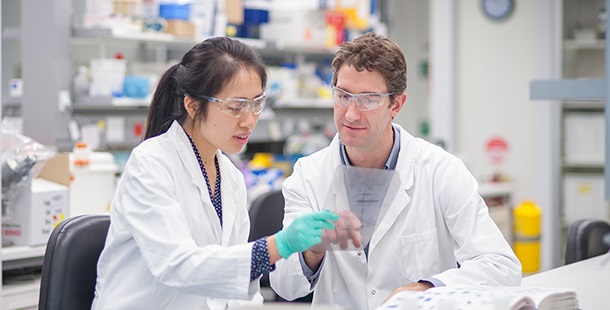 Two scientists in the lab, looking at results together