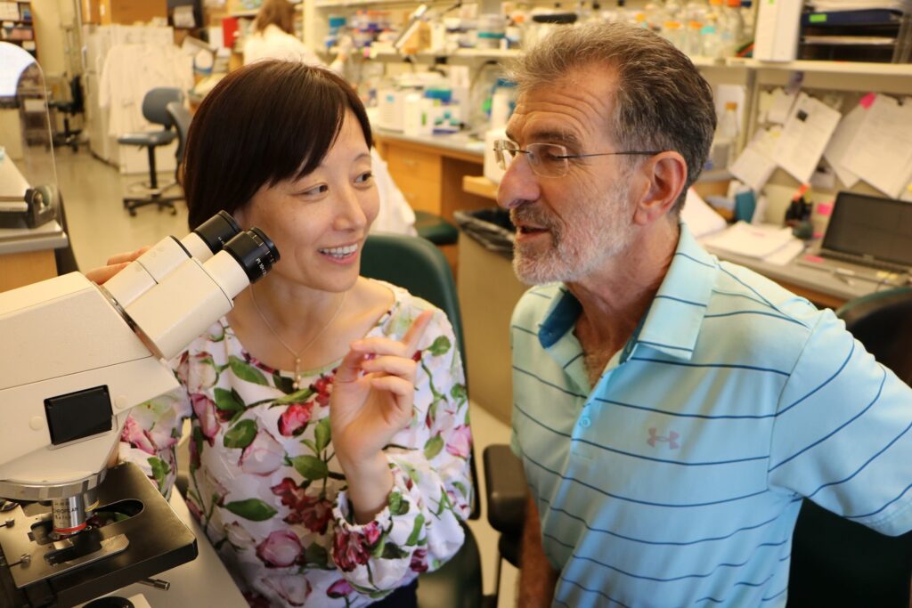 Prof. Daniel Tenen in the lab with Dr Li Chai in Singapore