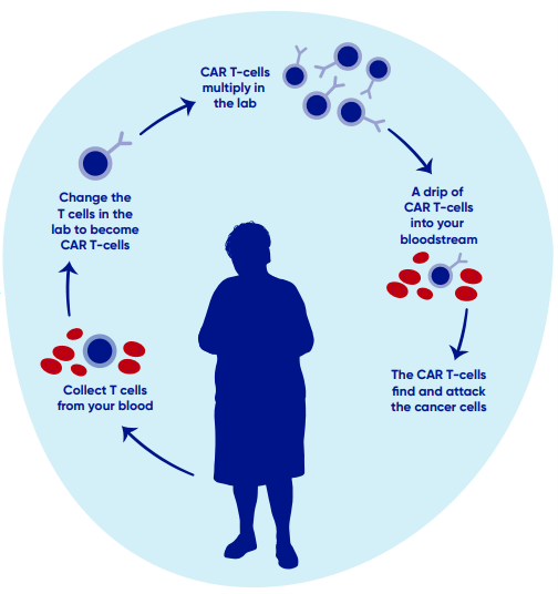 CAR T-cell therapy process