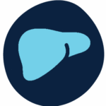GVHD liver icon