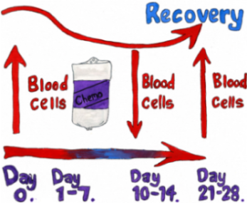 Illustration showing how chemo works in the blood over a month, starting with chemo going in on day 1, and then recovery after day 21.